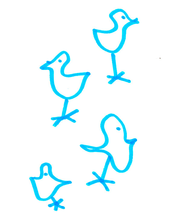 Bird Friends