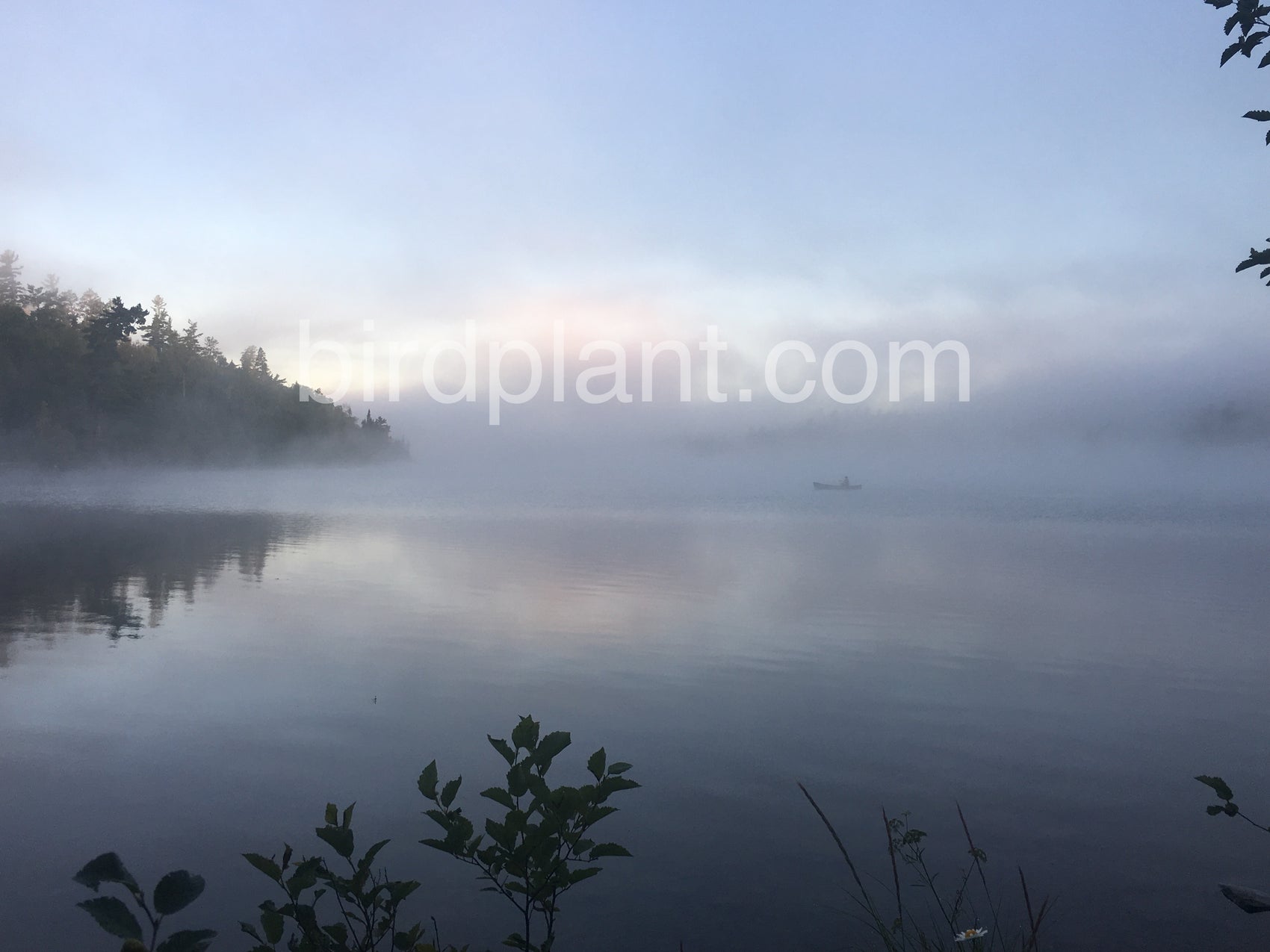 Foggy Morning Canoe2