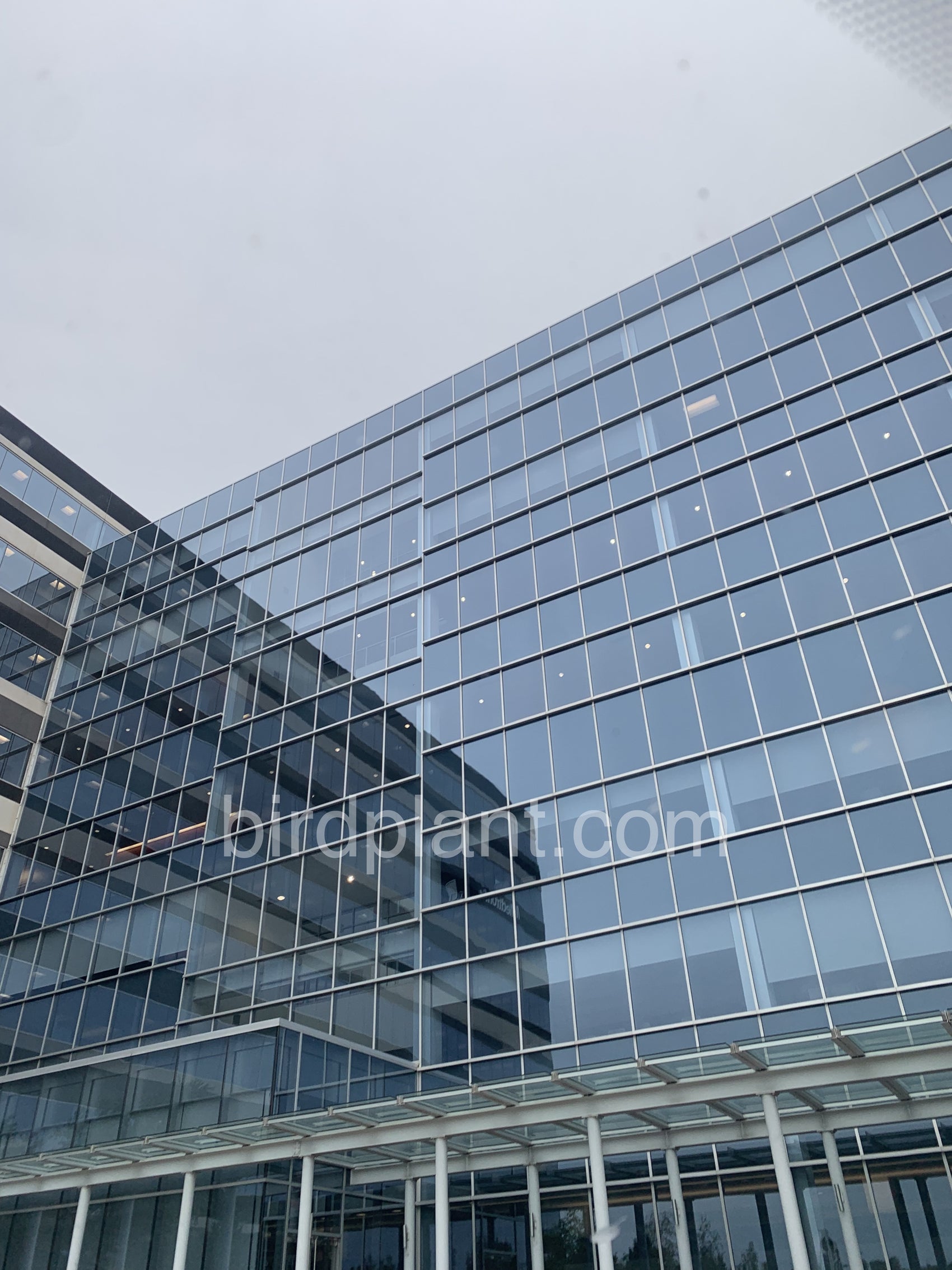 Glass Square Building