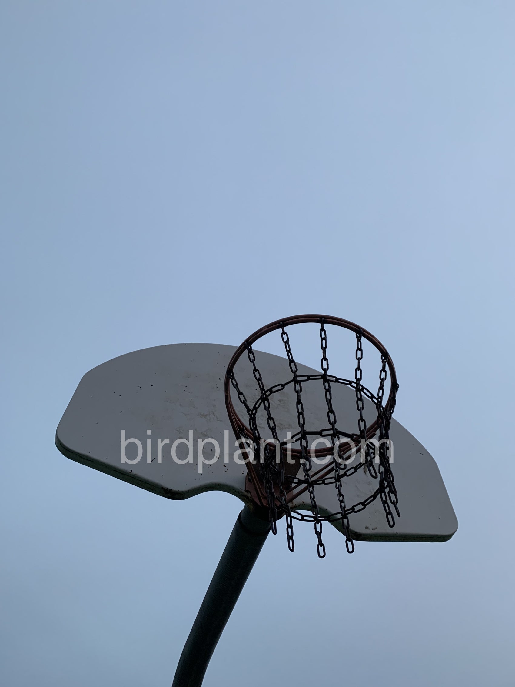 Park Basketball Hoop
