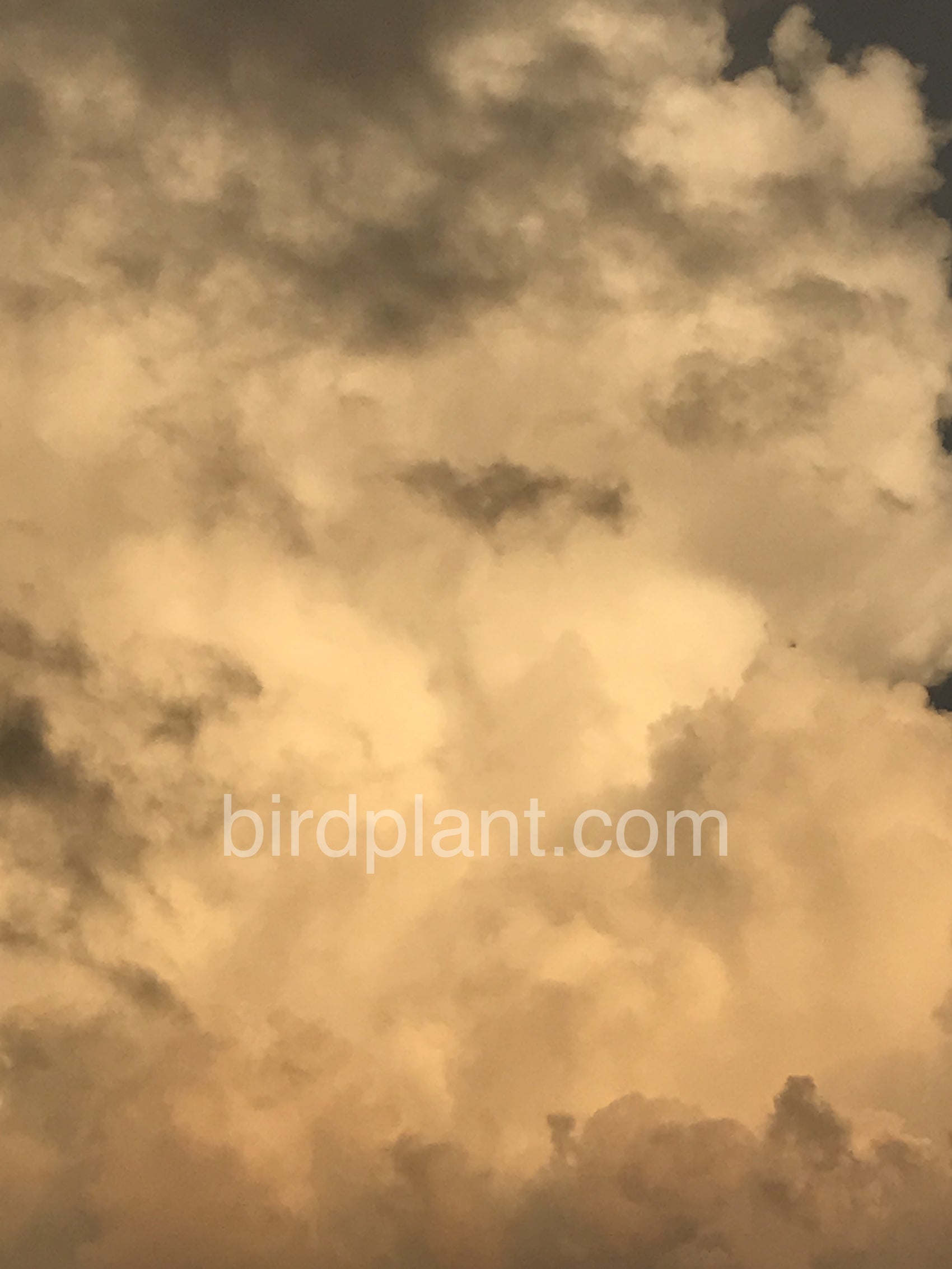 Peanut Butter Clouds