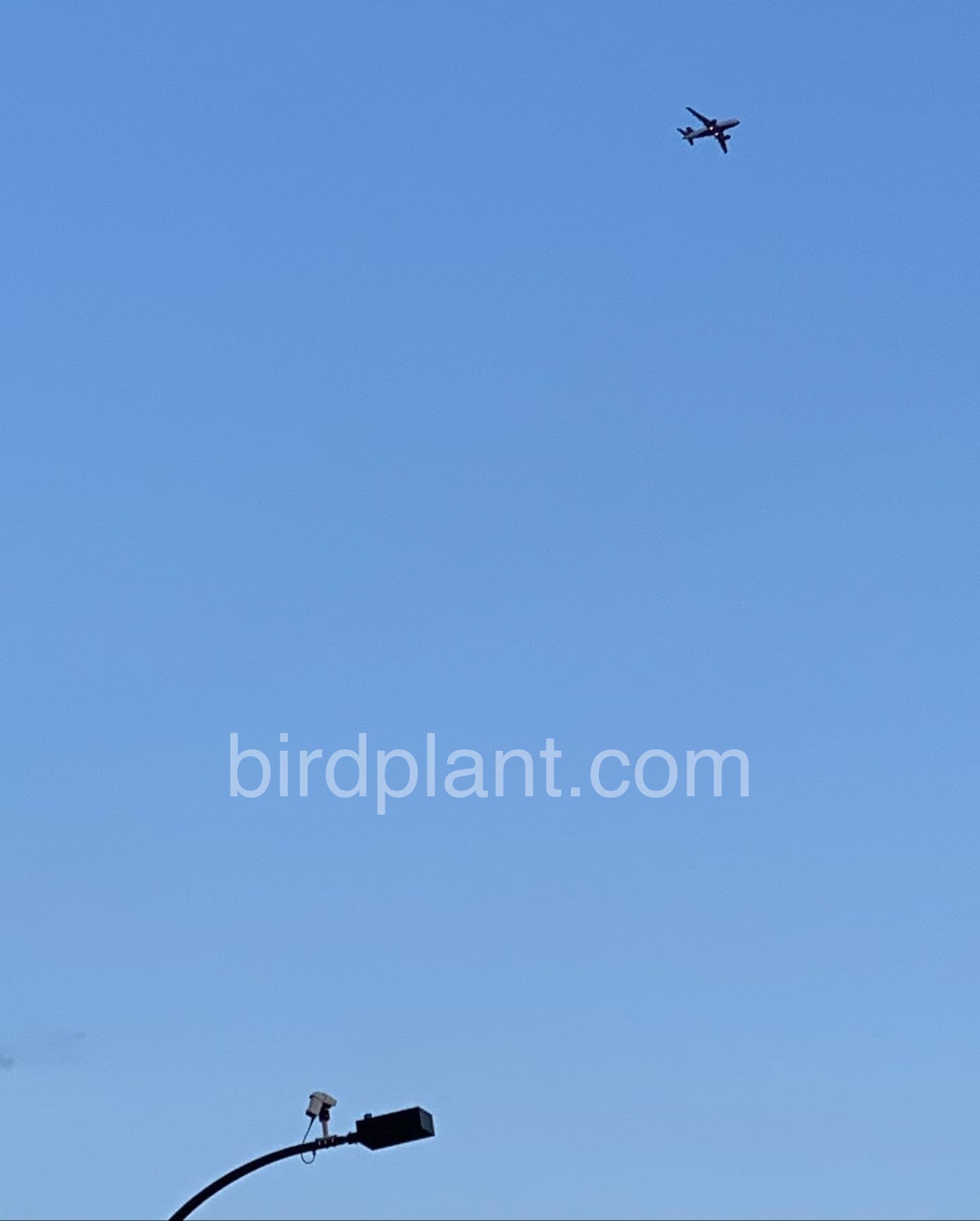 Plane Flying Over Security