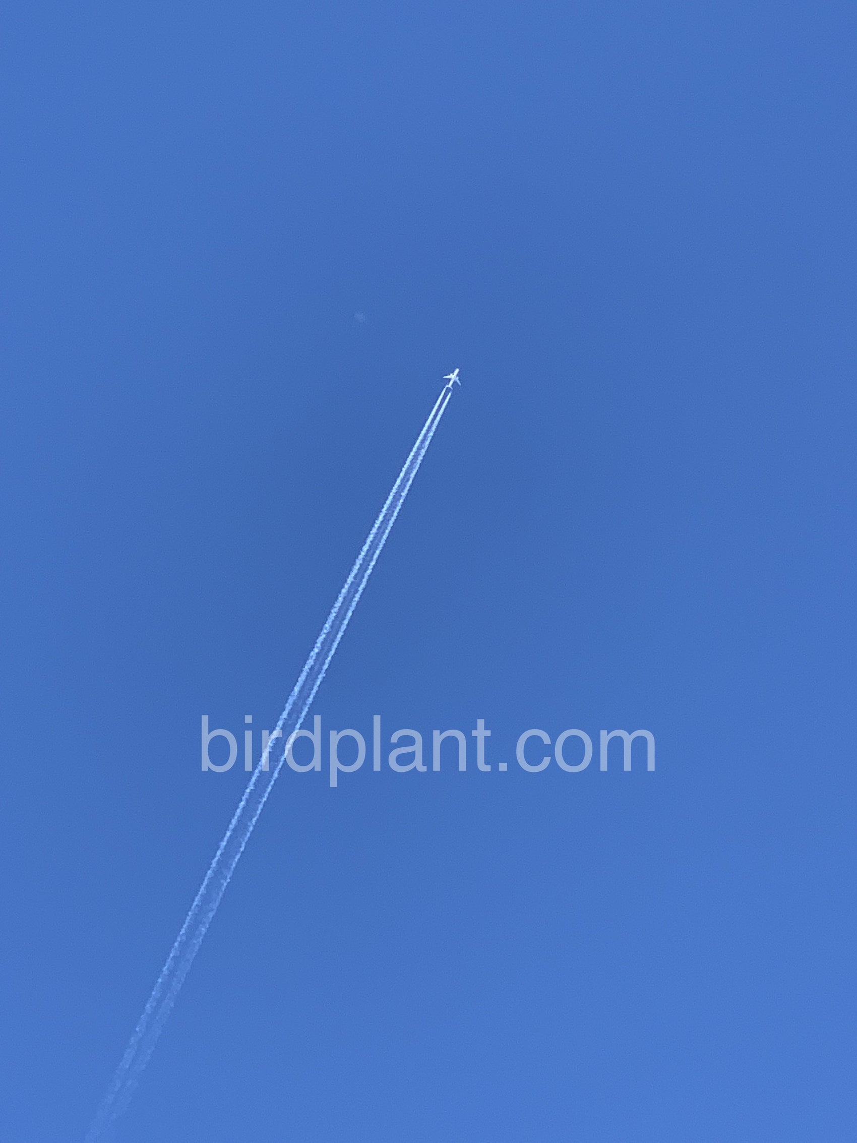 Plane Shooting Into The Sky