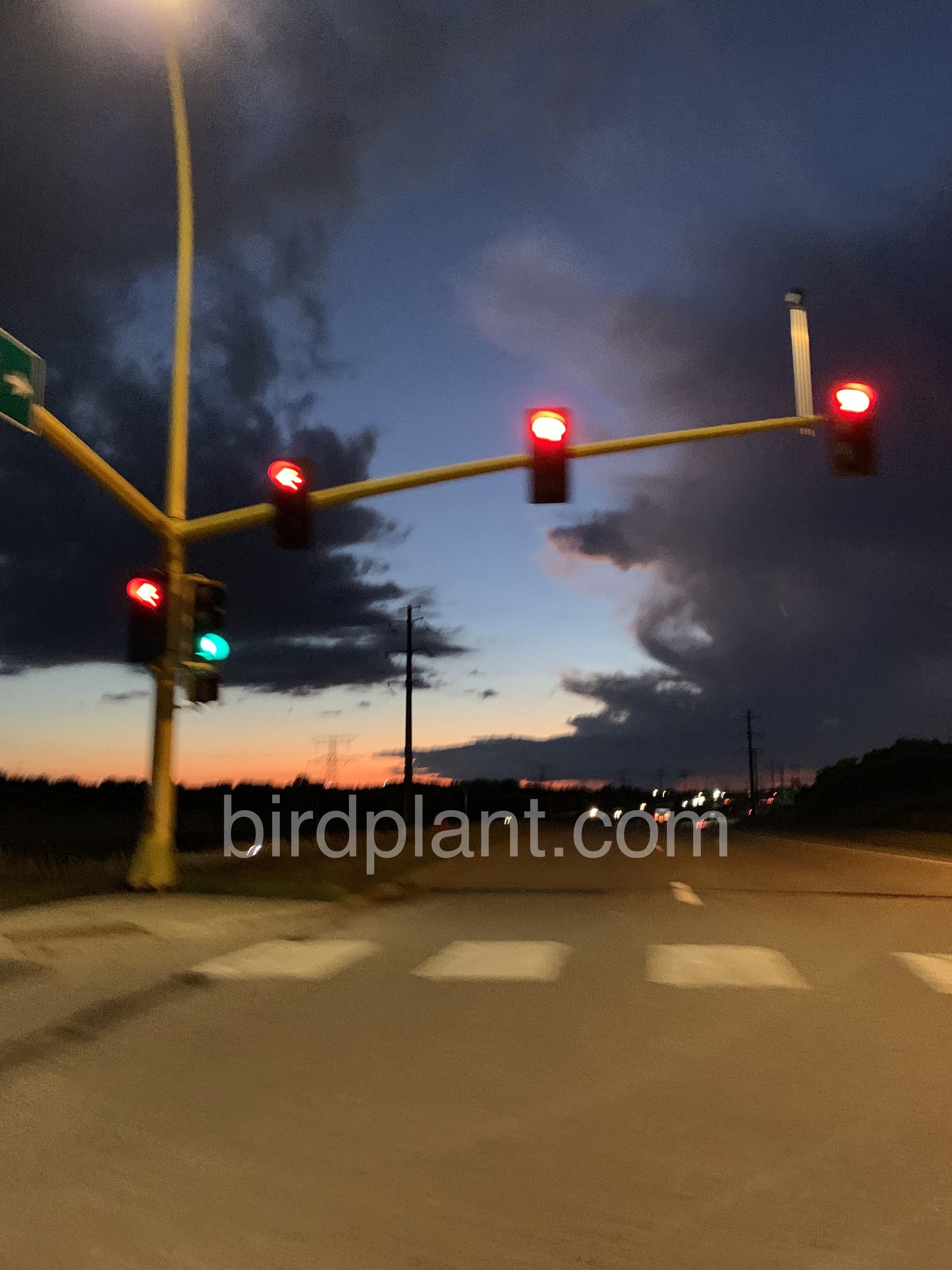 Red Stop Light Sunset