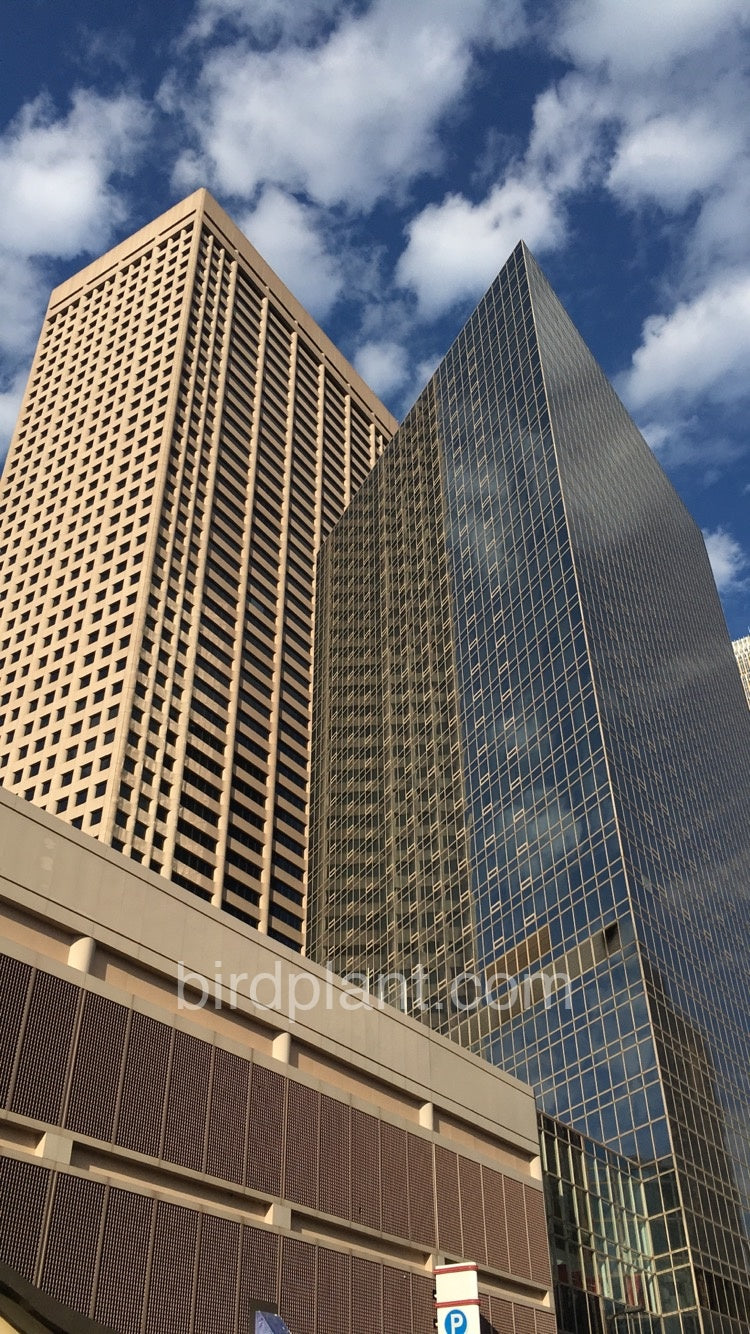 Skyscrapers In Clouds