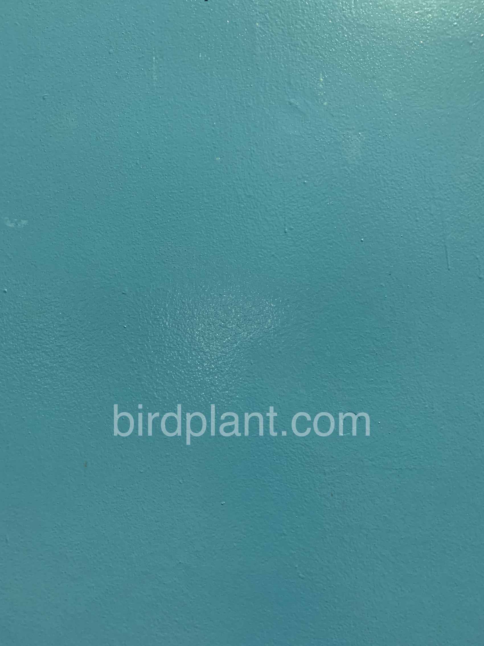 Teal Blue Wall