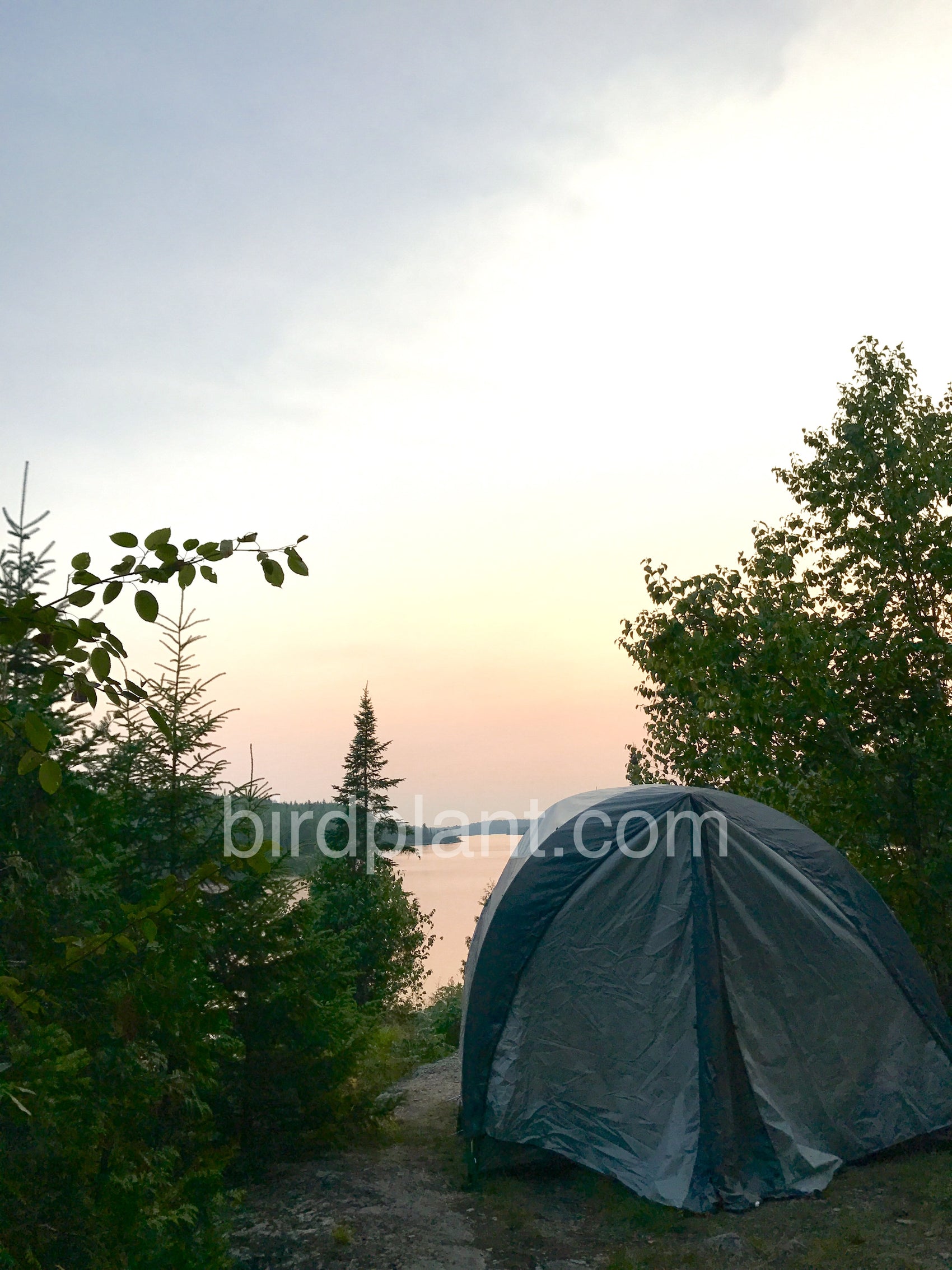 Tent On Lake Sunset