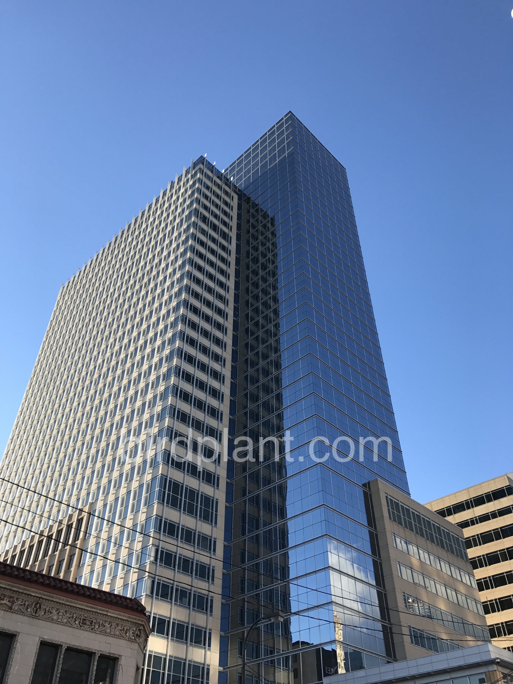 Two Buildings Stand Tall