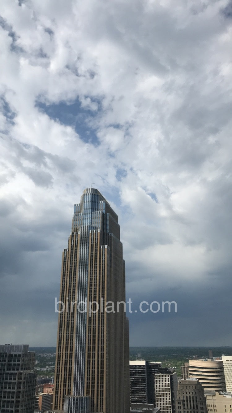 Wells Fargo Building